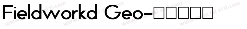 Fieldworkd Geo字体转换